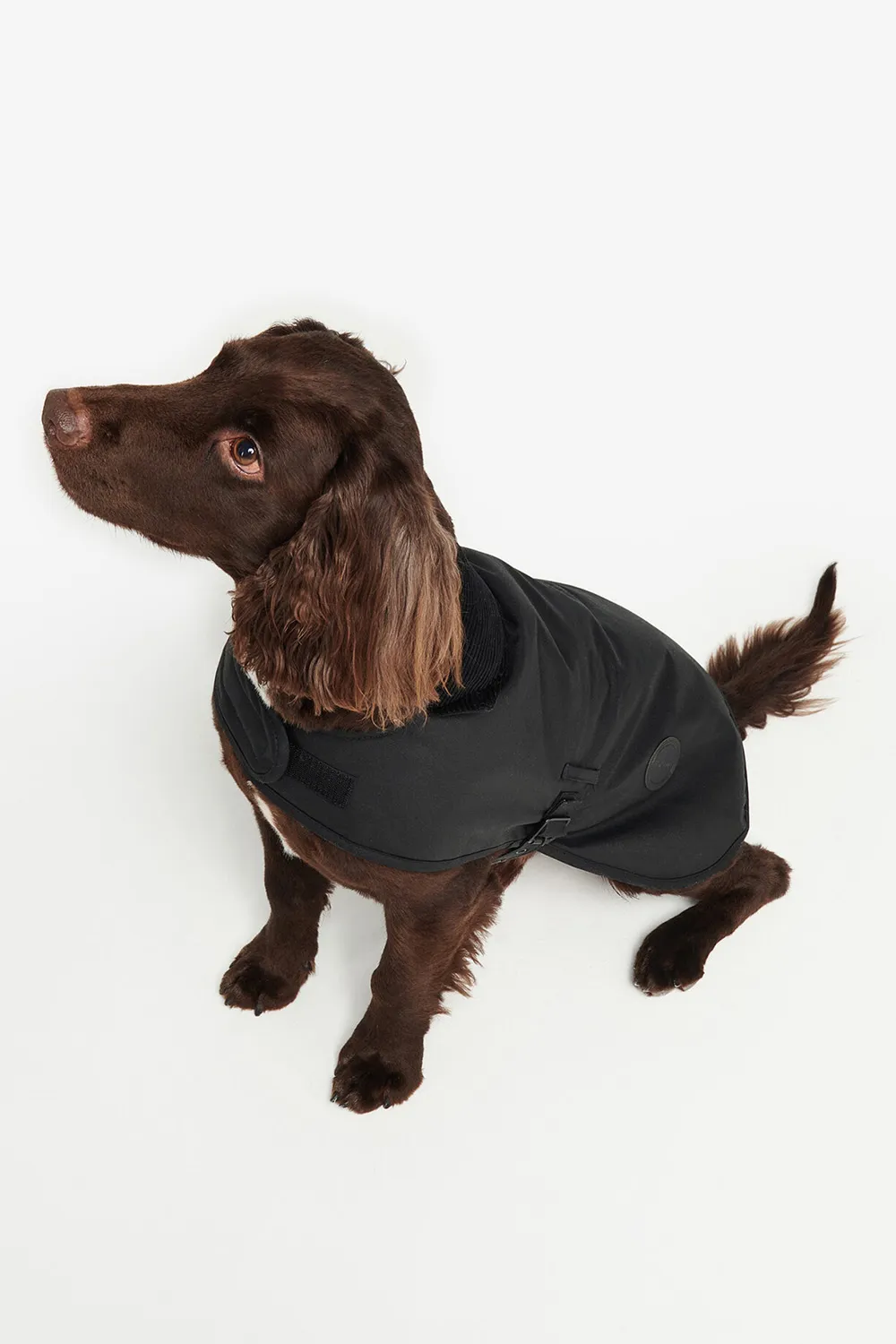 Barbour Abrigo Perro Wax