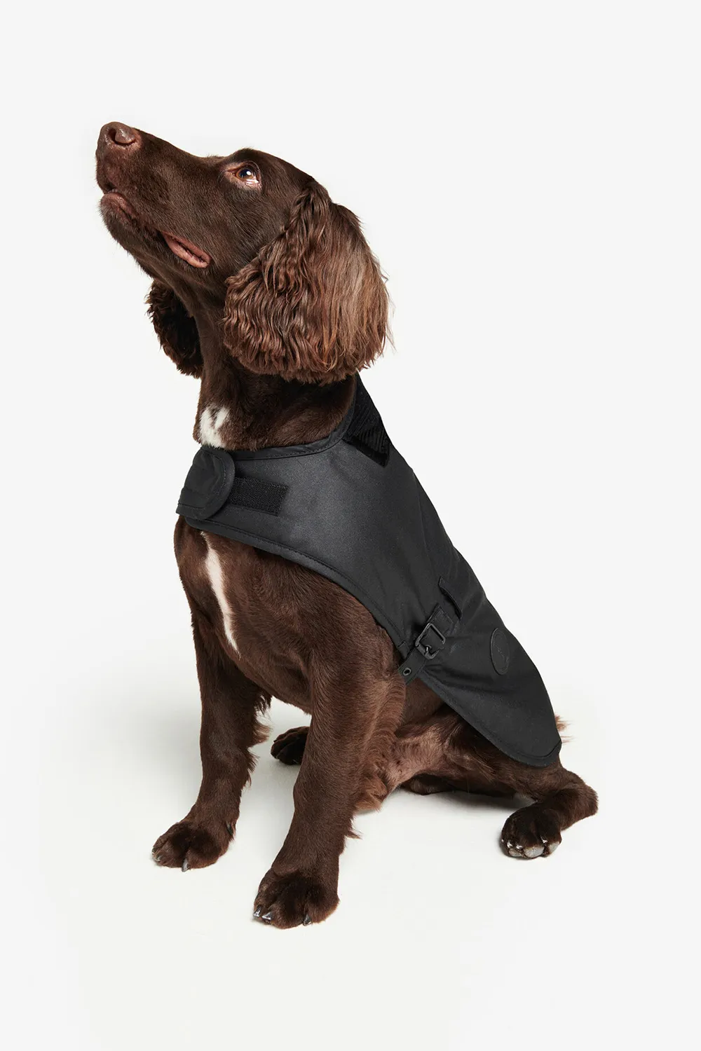 Barbour Abrigo Perro Wax